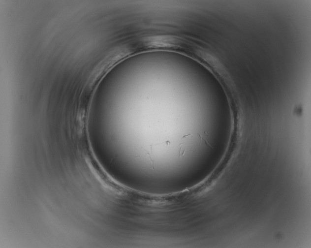 X0000113371233200909221215