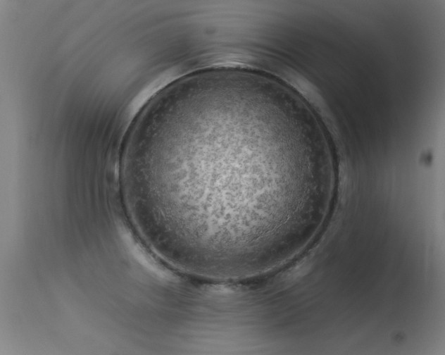 X0000113371234200909221215
