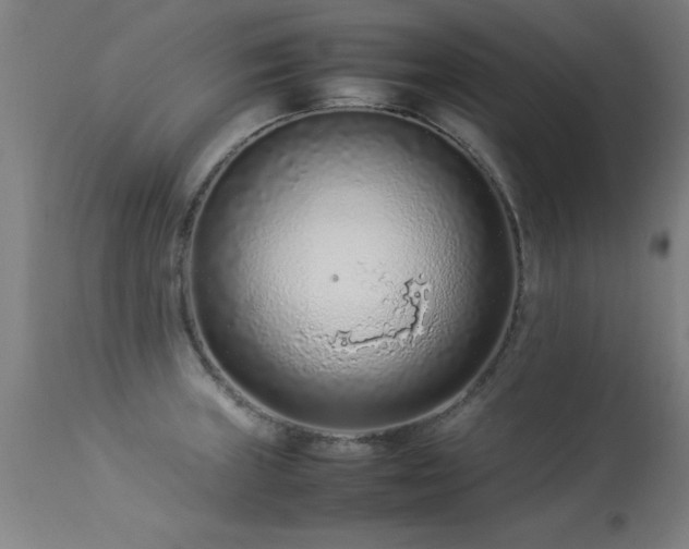X0000113371235200909221215