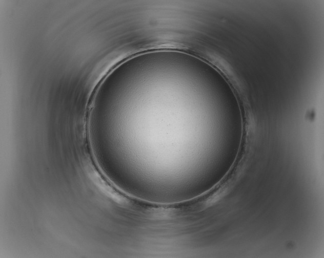 X0000113371236200909221215