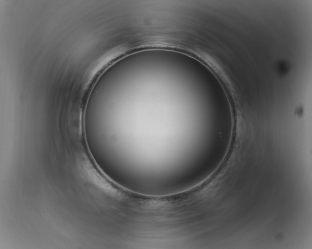 X0000113371238200909221215