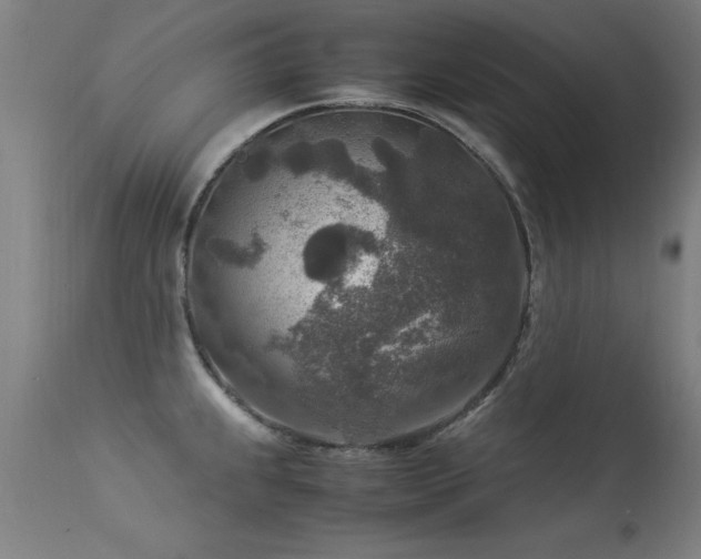 X0000113371239200909221215