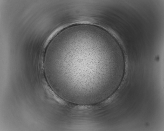 X0000113371240200909221215