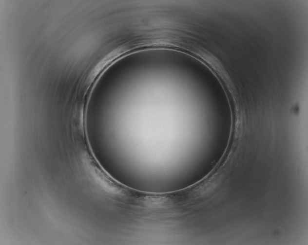 X0000113371242200909221215