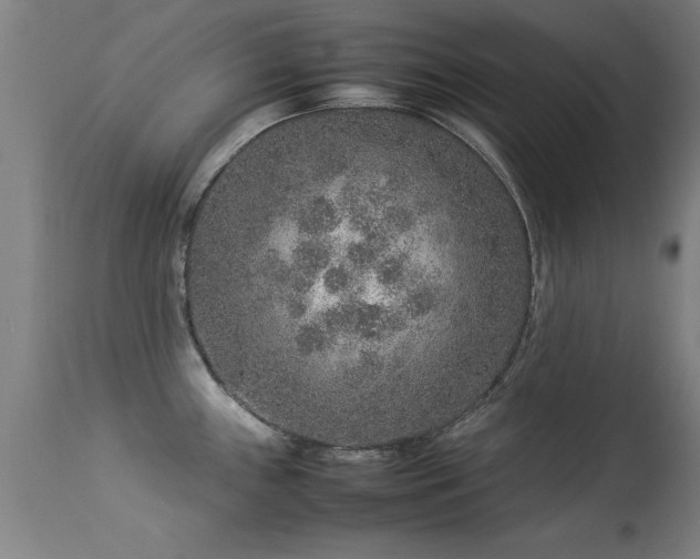 X0000113371243200909221215