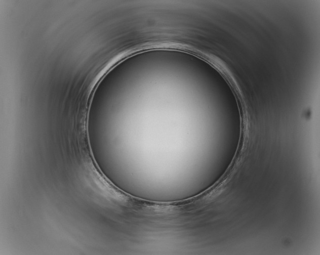 X0000113371244200909221215