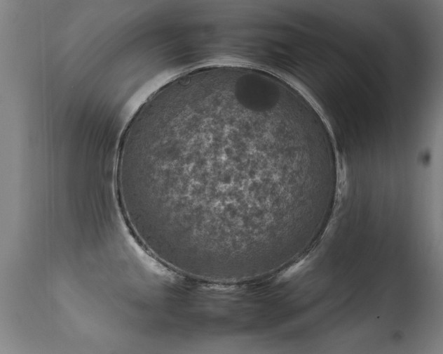 X0000113371245200909221215