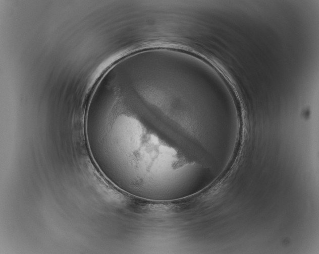 X0000113371246200909221215
