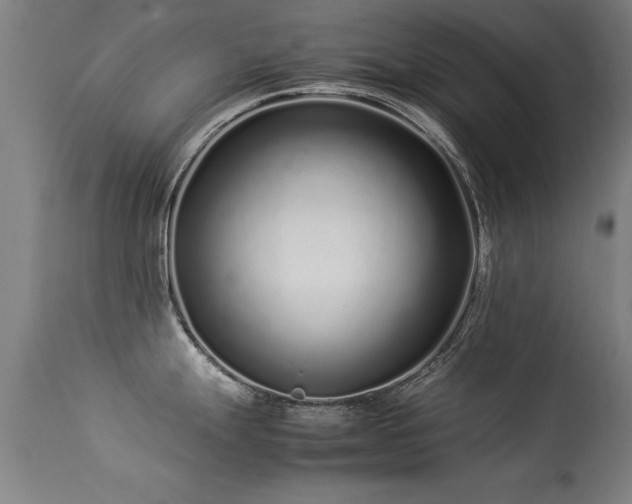 X0000113371247200909221215