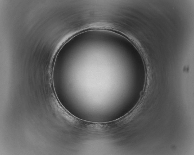 X0000113371248200909221215