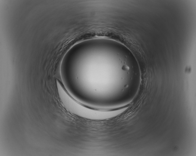 X0000113371249200909221215