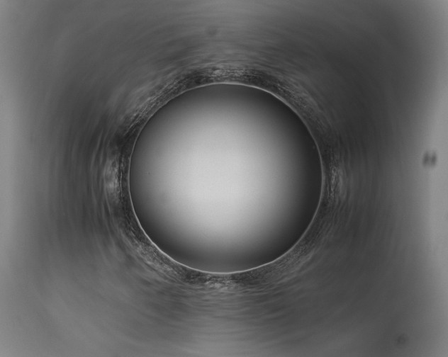 X0000113371250200909221215
