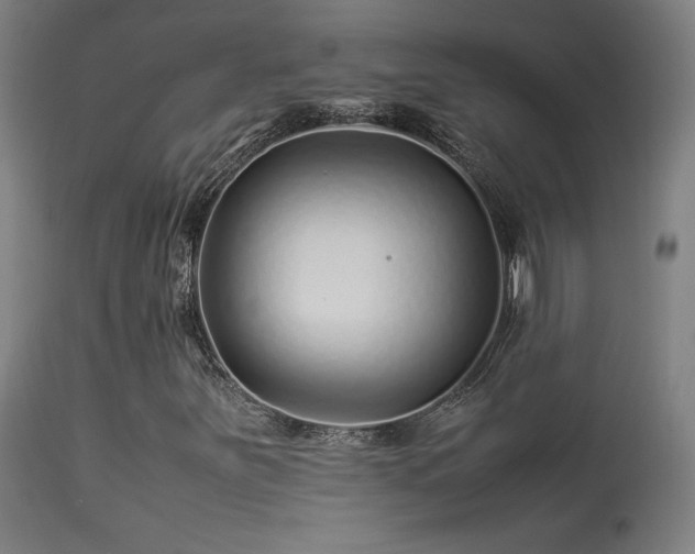 X0000113371251200909221215