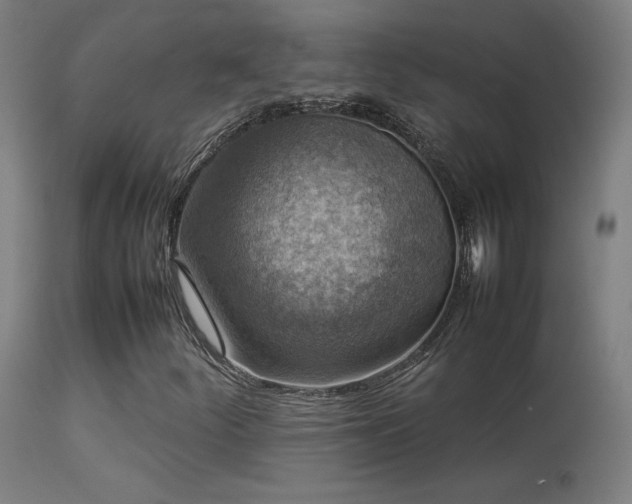 X0000113371252200909221215