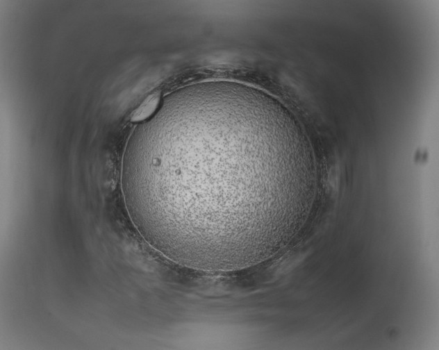 X0000113371253200909221215
