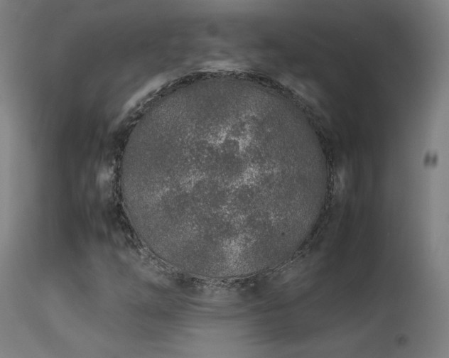 X0000113371254200909221215