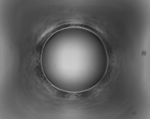 X0000113371255200909221215