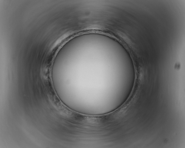 X0000113371258200909221215