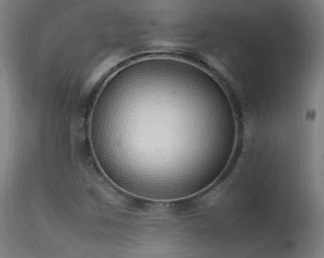X0000113371259200909221214