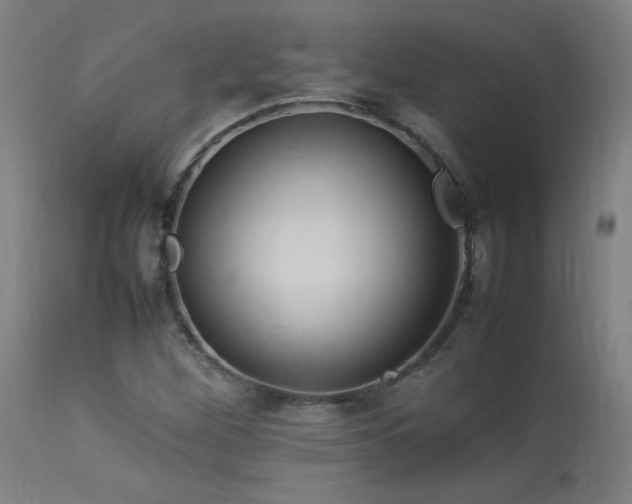 X0000113371260200909221214