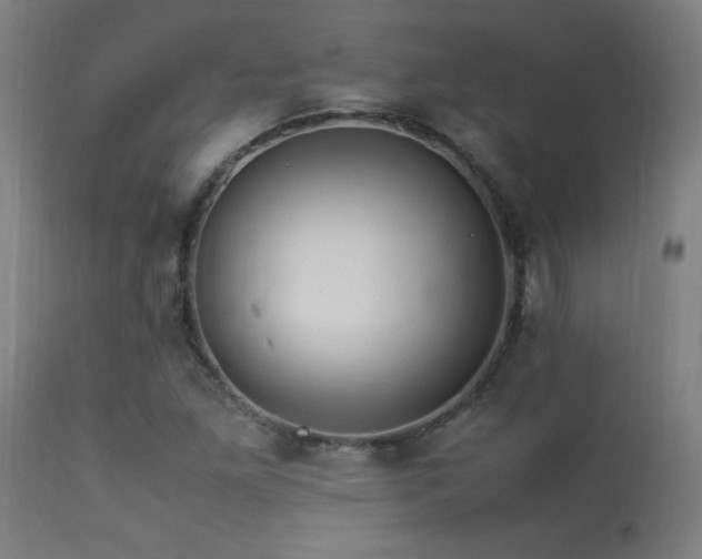 X0000113371261200909221214