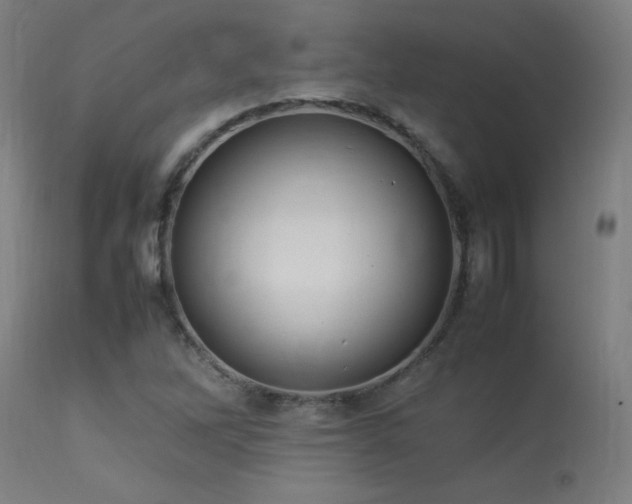 X0000113371262200909221214