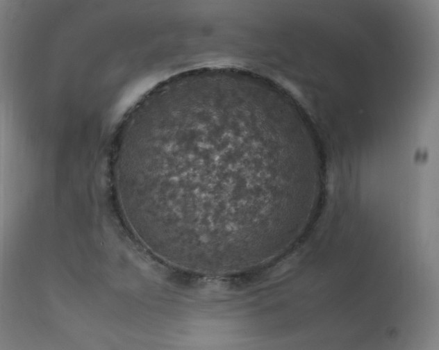 X0000113371263200909221214