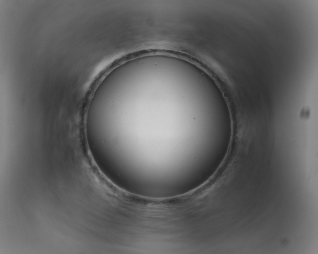 X0000113371264200909221214