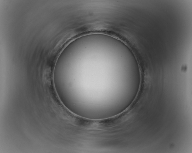 X0000113371265200909221214