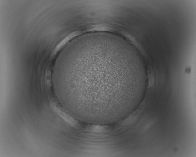 X0000113371266200909221214