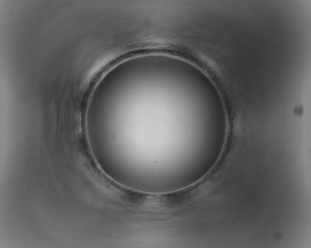 X0000113371267200909221214