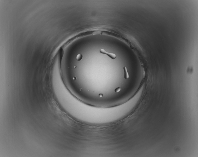 X0000113371268200909221214