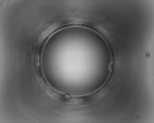 X0000113371269200909221214