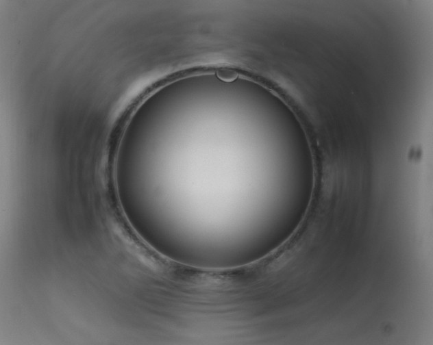 X0000113371270200909221214