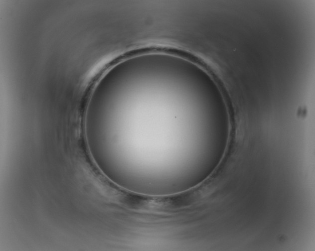 X0000113371271200909221214