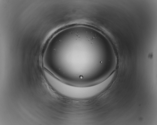 X0000113371272200909221214