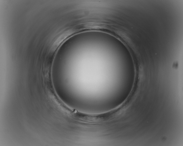 X0000113371273200909221214