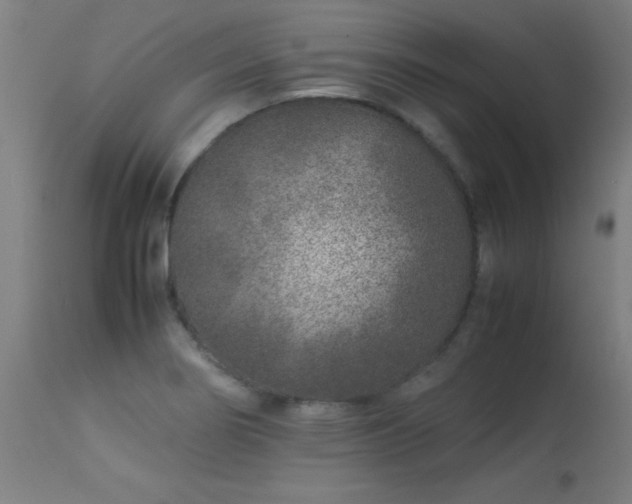 X0000113371274200909221214