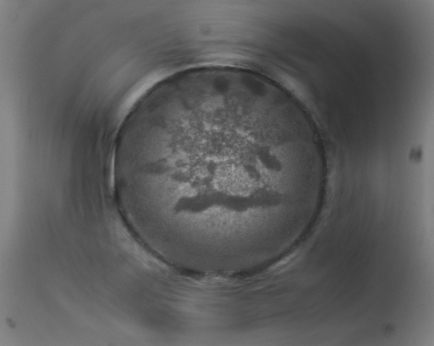 X0000113371275200909221214