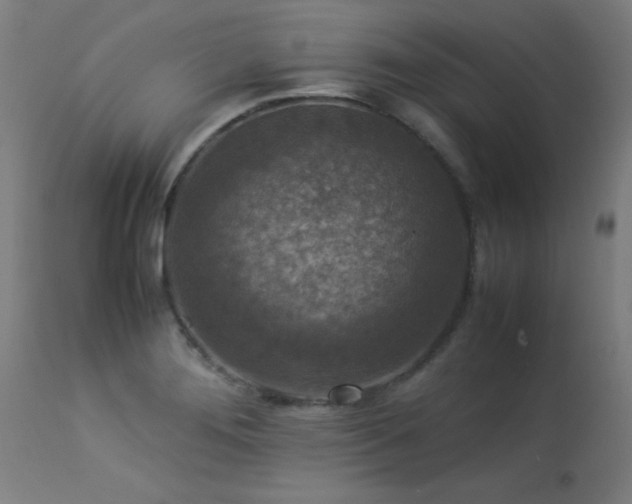 X0000113371276200909221214