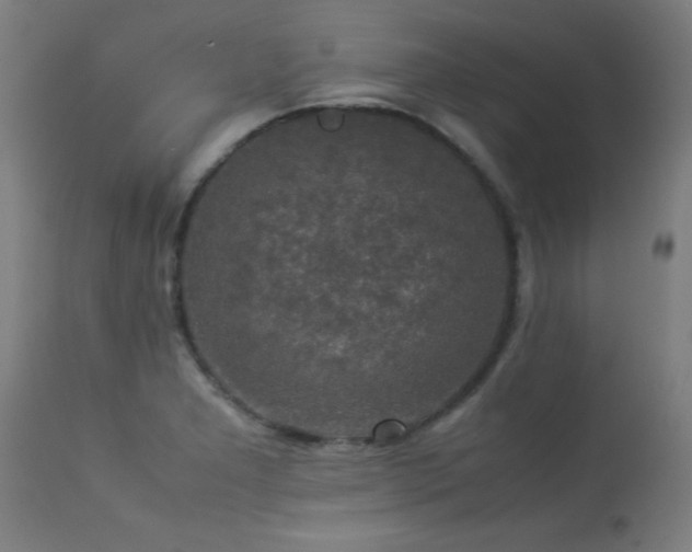 X0000113371277200909221214