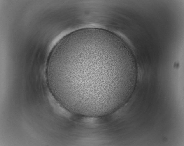 X0000113371278200909221214