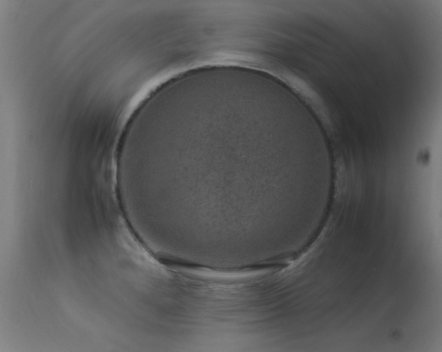 X0000113371280200909221214