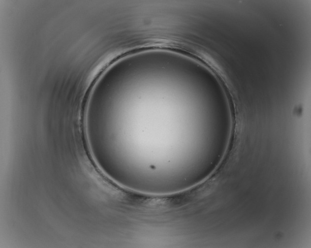 X0000113371283200909221214