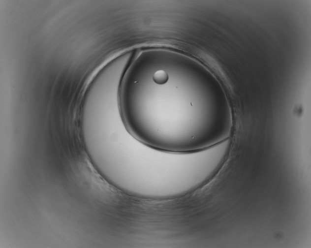 X0000113371284200909221214