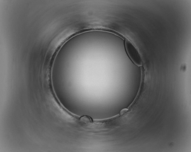 X0000113371285200909221214