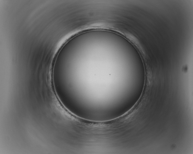 X0000113371288200909221214
