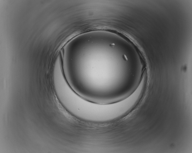 X0000113371289200909221214