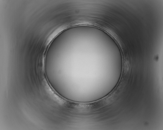 X0000113371290200909221214