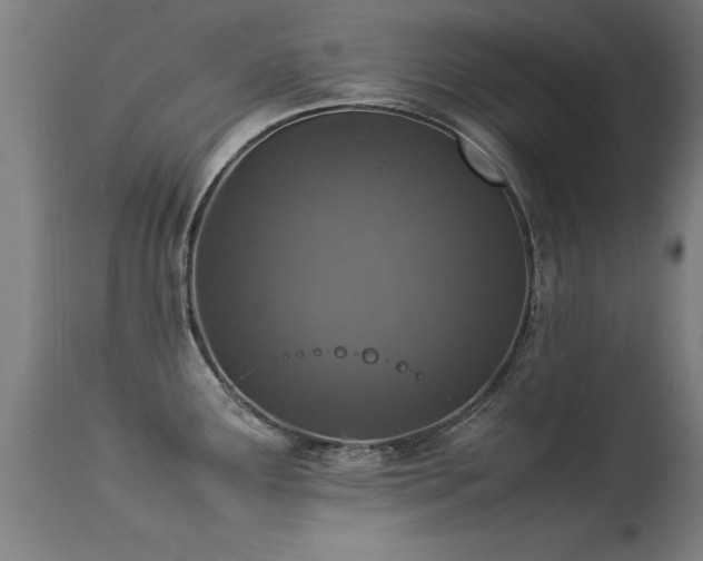 X0000113371291200909221214